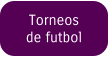 Torneos de futbol